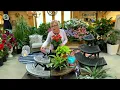 Barbara King Collapsible Three-Tiered Corner Plant Stand on QVC