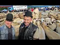 Download Lagu TÂRGUL TRADIȚIONAL CIOBĂNESC DIN POIANA SIBIULUI.CU NEA MARIN CHIOJDEANU PRIN TARG.