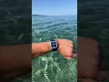 Download Lagu #midowatches #swisswatch Multifort TV Big Date #underwater #multifort #sardegna #mido #watch