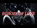 Download Lagu Echoes Of Love - Chin Flow ( Official Music Video ) A Song For Departed Love Ones