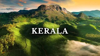 Kerala’s Most Beautiful Place | Munnar | South India | Kolukkumalai