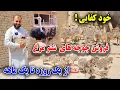 Download Lagu تجارت!فارم شتر مرغ با درآمد میلیونی عجله کنید خود را صاحب کار بسازید 150 کیلو یک شتر مرغ