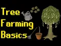 Basic Tree Farming Guide 2021 OSRS