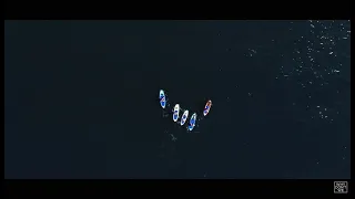 Why Don T We What Am I Official Lyric Video 