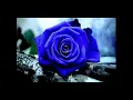 Download Lagu La Vie En Rose (Cover by Imani Best)