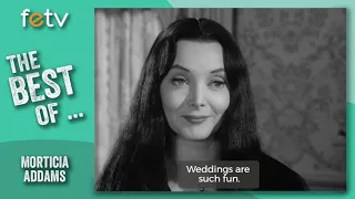 The Best of Morticia Addams The Addams Family