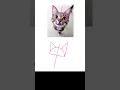 How to Draw a Realistic Cat Easily - Part 1