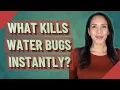 What kills water bugs instantly