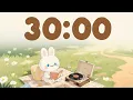 Chill in the Park 30 minute timer with music for classroom