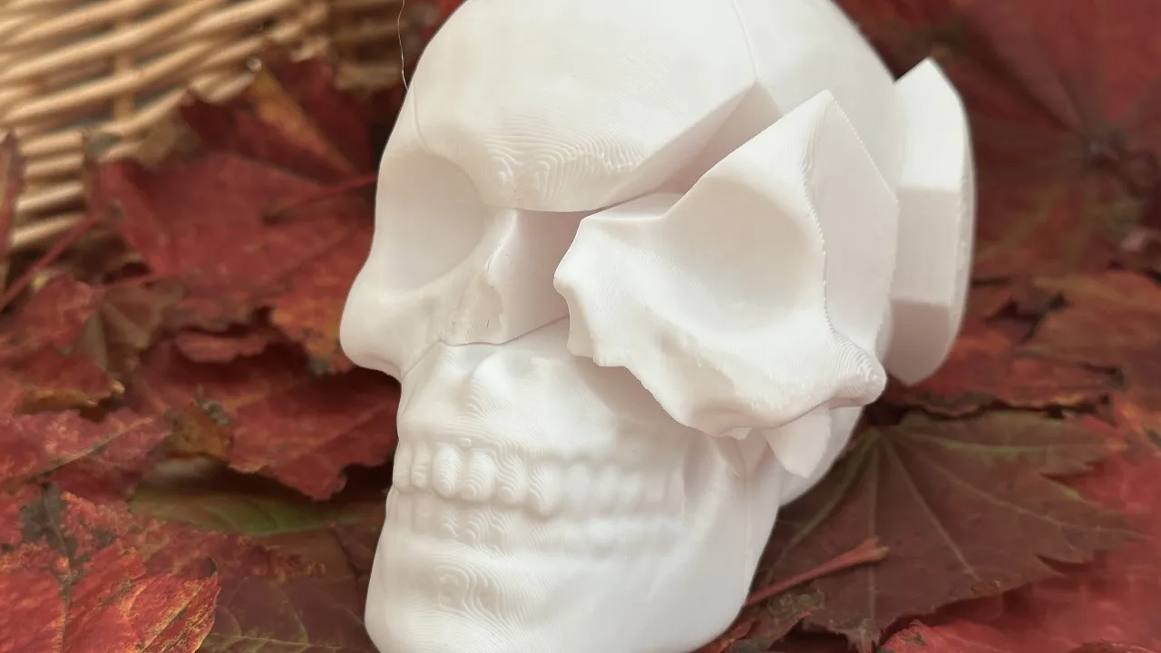 Skull Puzzle