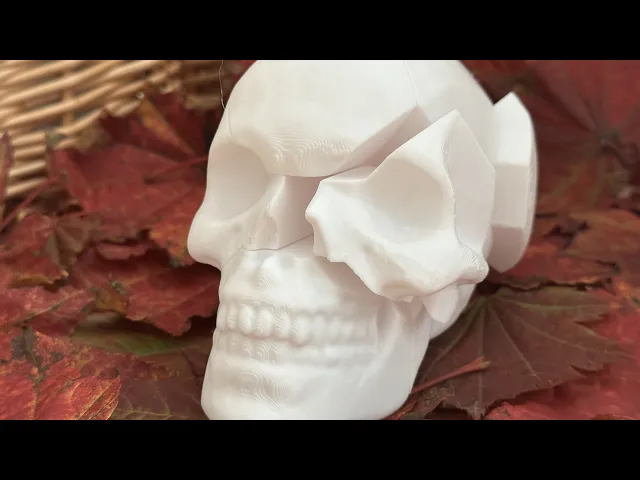 Skull Puzzle video thumbnail
