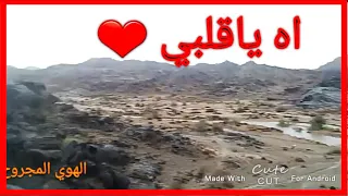 شيله اه ياقلبي  اللي من الشوق امتلا دندنها