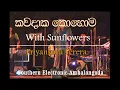 Download Lagu Kawadaka Kohoma With Sunflowers Priyankara Perera