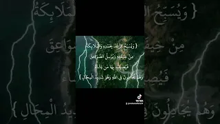 امطار تاجوراء فيضانات قرآن قران كريم تلاوات ليبيا 