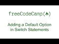 Adding a Default Option in Switch Statements