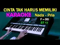 Download Lagu CINTA TAK HARUS MEMILIKI - ST 12 | KARAOKE Nada Pria, HD