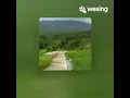 Download Lagu Video ini dari WeSing SEBATAS HIBURAN AJACH SOLO LILIN LILIN PUTIH