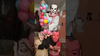 الكلب اللولو هو هو 