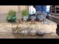 Rainfall Simulator