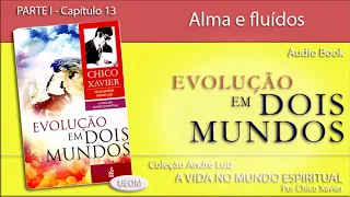 EVOLUÇÃO EM DOIS MUNDOS | Capítulo 13 - Alma e fluidos - Livro de André Luiz por Chico e Waldo