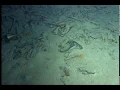 Titanic Archive Project NOAA 2003 - Debris Field Survey