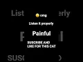 Download Lagu PAINFUL CAT SOUND