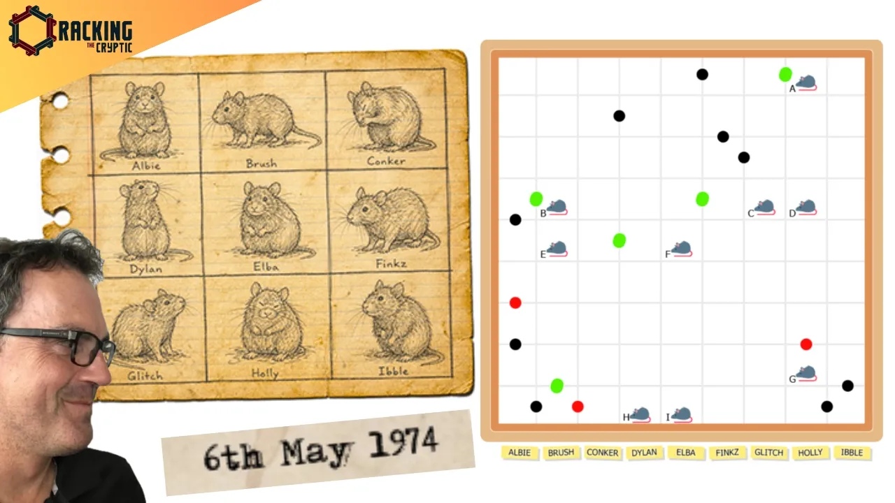 Which Rat Is Best At Sudoku?! Rat Run: One Year Earlier