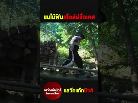 ขนไม้ฟืนสไตล์ฝรั่งเศส #แสว๊กแก๊กนิวส์