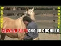 KaraOke - El Corralero (Original) - El Chango Nieto - BuriOkey