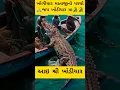 Download Lagu Magar khodiyar Maa 🐊 #maa #khodiyaar #shorts #viral