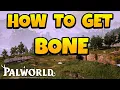 How to Get Bone in Palworld