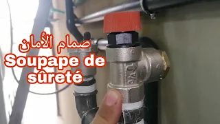                                 دندنها