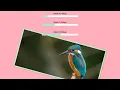 Animation with CSS Variables How to Dynamically Change Values with CSS Variable
