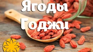 Годжи ягоды Goji Amideya Com Ua 