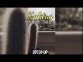 Download Lagu Kaktus_Suara Kayu (speed up)🎧🎼