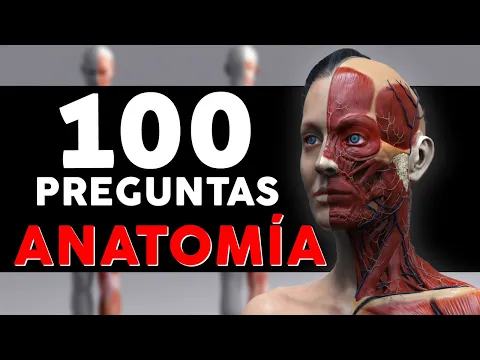 Download MP3 100 Preguntas y Respuestas de ANATOMÍA HUMANA 👉 ¿Cuánto sabes de tu Cuerpo?