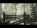 Dan Gibson’s Solitudes - The Gentle Path | Relax Peacefully