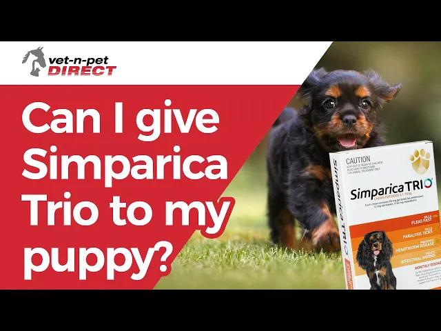 Simparica TRIO Chewable Tablet for Large Dogs 20.1-40kg