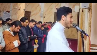                                            دندنها