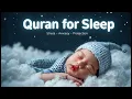 Download Lagu Quran for Deep Sleep ✦ Peaceful Recitation for Relaxation and Calmness ✦ Alaa Aqel