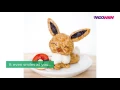 Download Lagu 11 Pokémon Rice Balls That Are Too Cute To Actually Eat