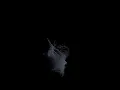 Particle Gravity Simulation Uni-Directional