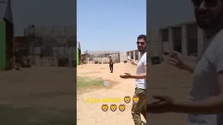 لحظة هجوم اسد على المديع مباشر Lion Attacks Man 