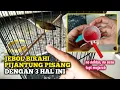 Download Lagu 3 CARA AMPUH MENAIKAN BIRAHI PIJANTUNG PISANG SUPAYA JADI GACOR DORR...‼️