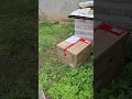 Download Lagu odlično odrađena dostava paketa od strane DPD ... ravno u susjedov vrt 🤓