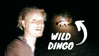 DINGO SAFARI ON A YACHT CH.6