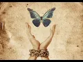 Delusion [Song by Lily Rose]