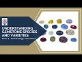 Gem-A Live Understanding Gemstone Species and Varieties