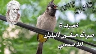 صوت صفير البلبل سعيد البحري كلمات للأصمعي 