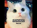 Download Lagu salting cute remix - Rendy Da Silva (tiktok song)